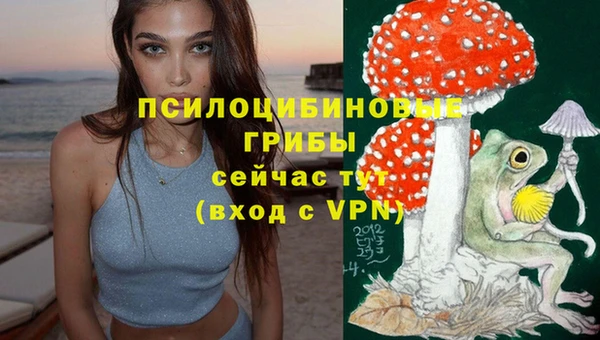 а пвп мука Каменка