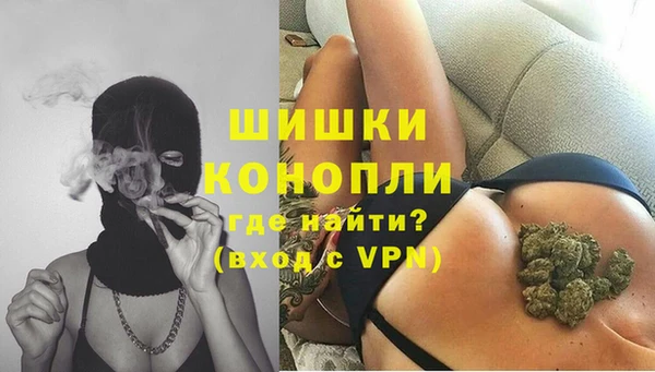 a pvp Белокуриха